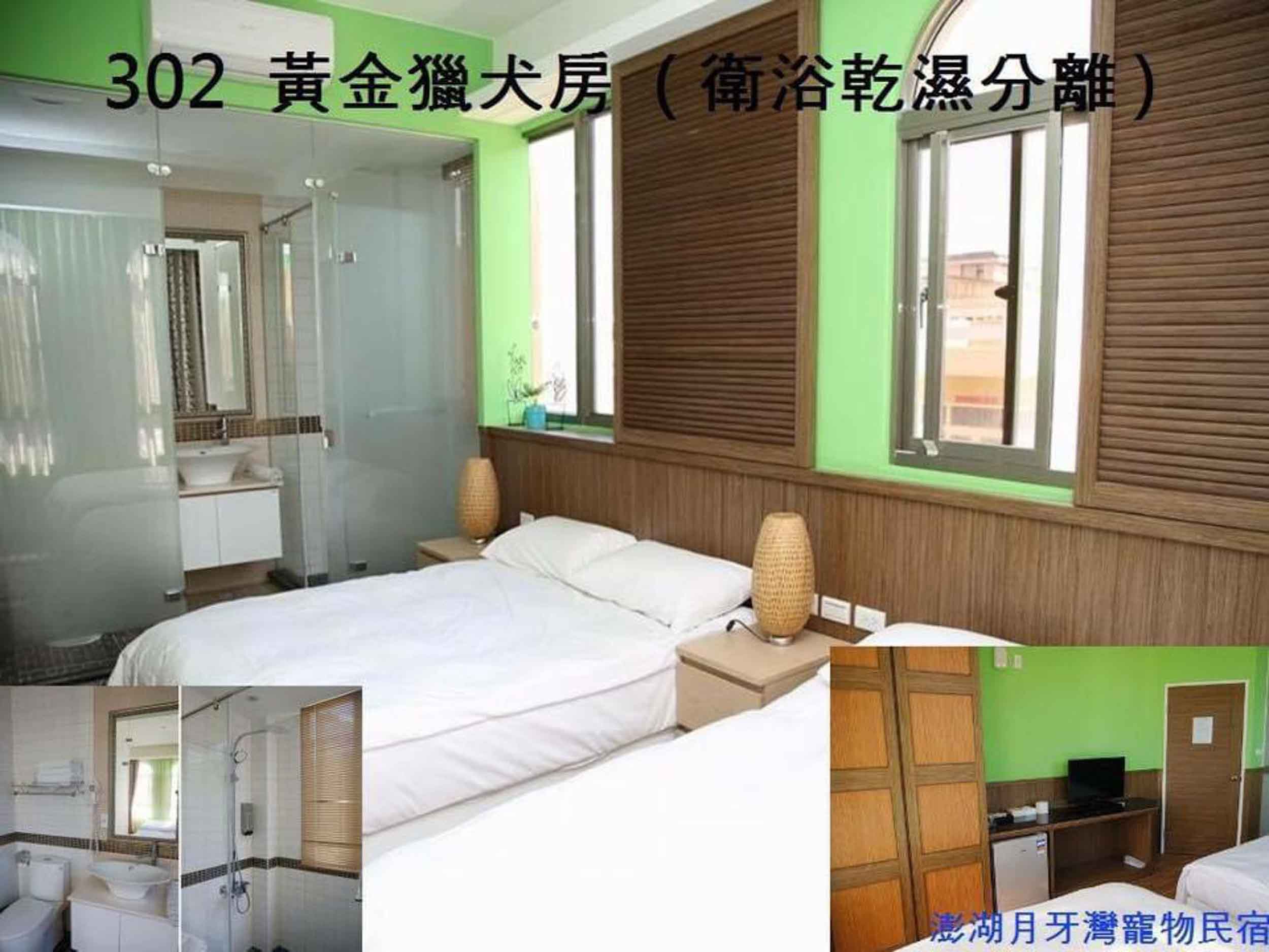 202 哈士奇房